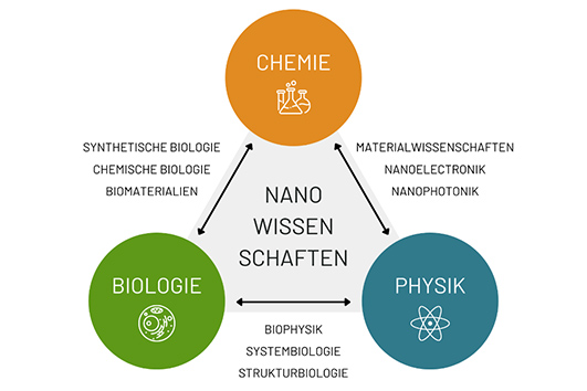 Zusammenspiel der Fächer Biologie, Physik und Chemie