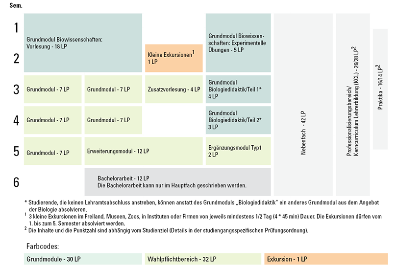 Grafik Exemplarischer Studienverlaufsplan Biologie Hauptfach 2 Fächer Bachelor