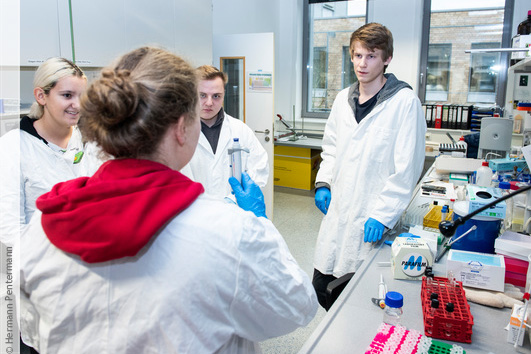 Schülerinnen und Schüler beim Hochschulinformationstag an der Uni Osnabrück